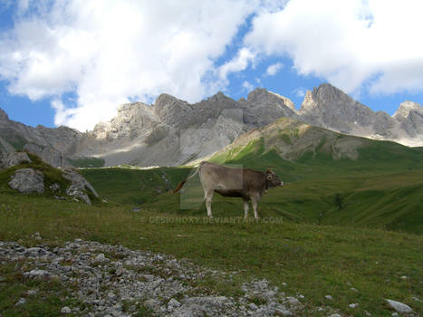 mountain panorama