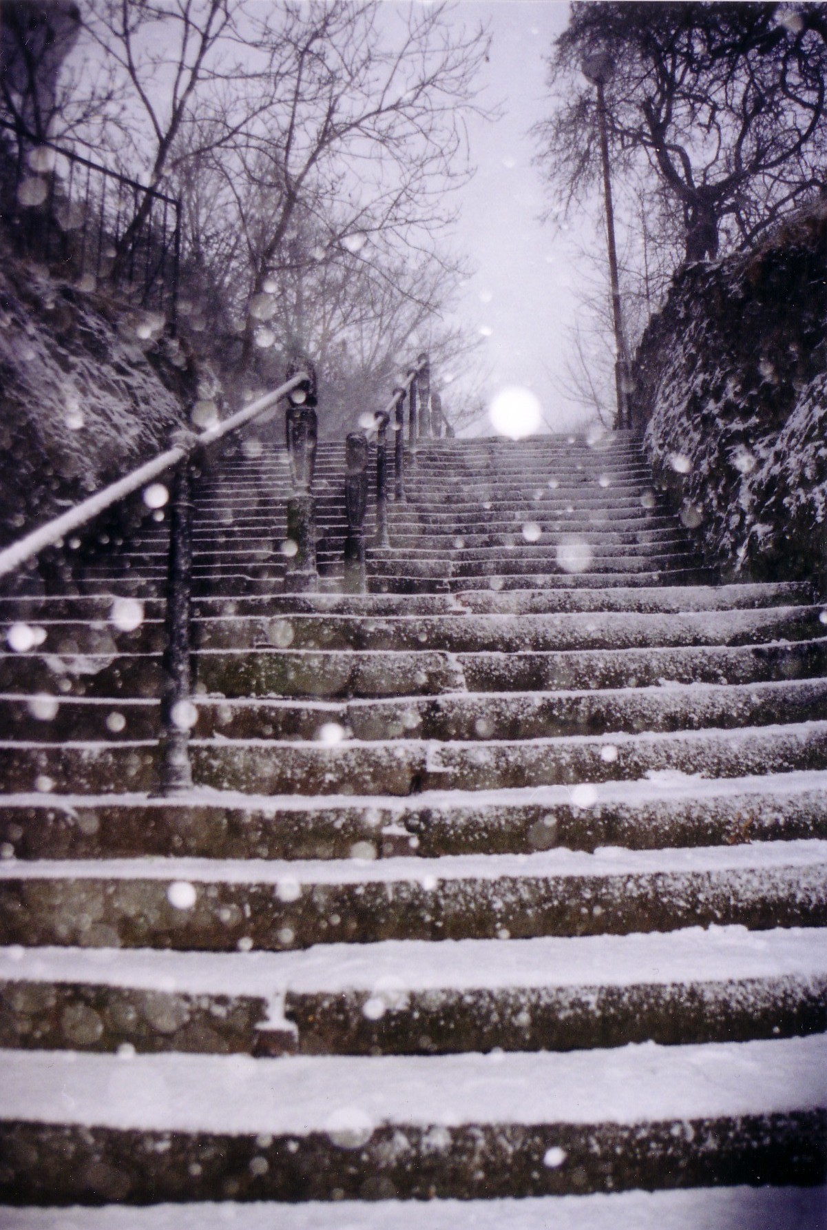 snowy steps