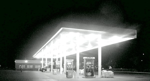 night at the oasis