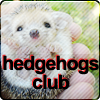 Hedgehogs Club