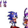 Sonic 1/2 Styled Bonilla - OC