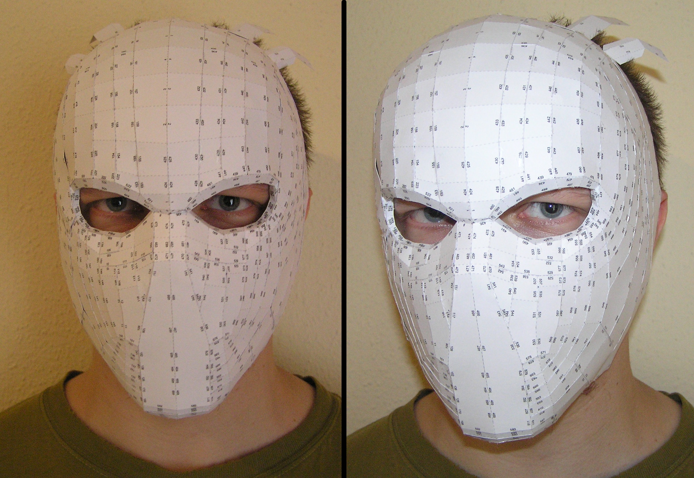 Pepakura Pepakura