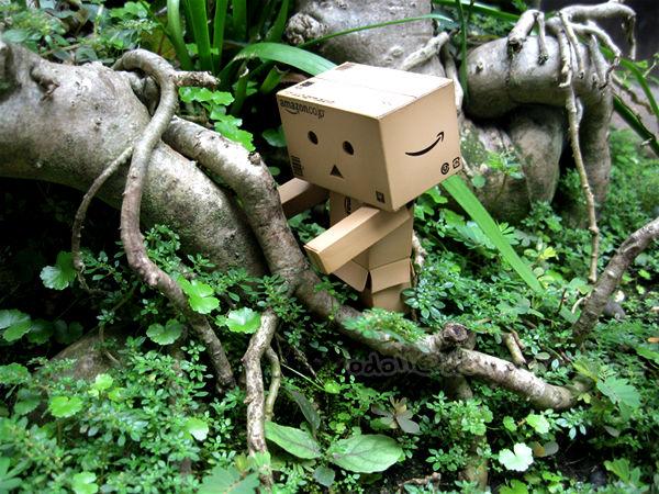 Little Danbo in The Jungle