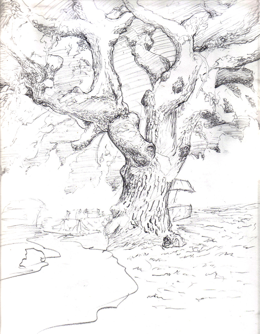 sketch tree