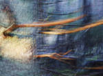 Sea-tree by skogsanda