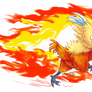 Flame Charging Combusken!