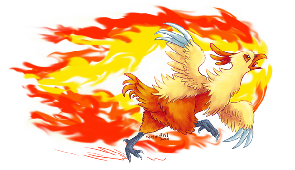 Combosken Explore the Best Combusken Art | DeviantArt