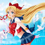 Sailor V