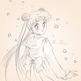 The reincarnation of Sailor moon_start