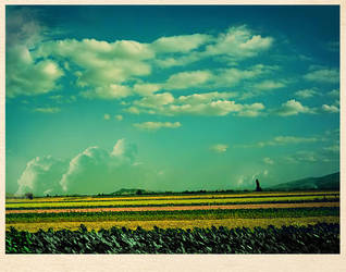 Before the Rain by Macedonia