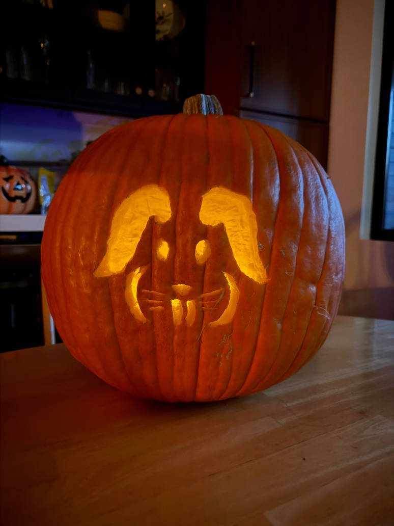 Notlr Pumpkin Rabbit My Bunny Rabbit Pumpkin for Halloween! by ELROart on DeviantArt