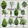 Green Trees PNG