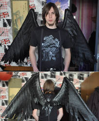 black wings