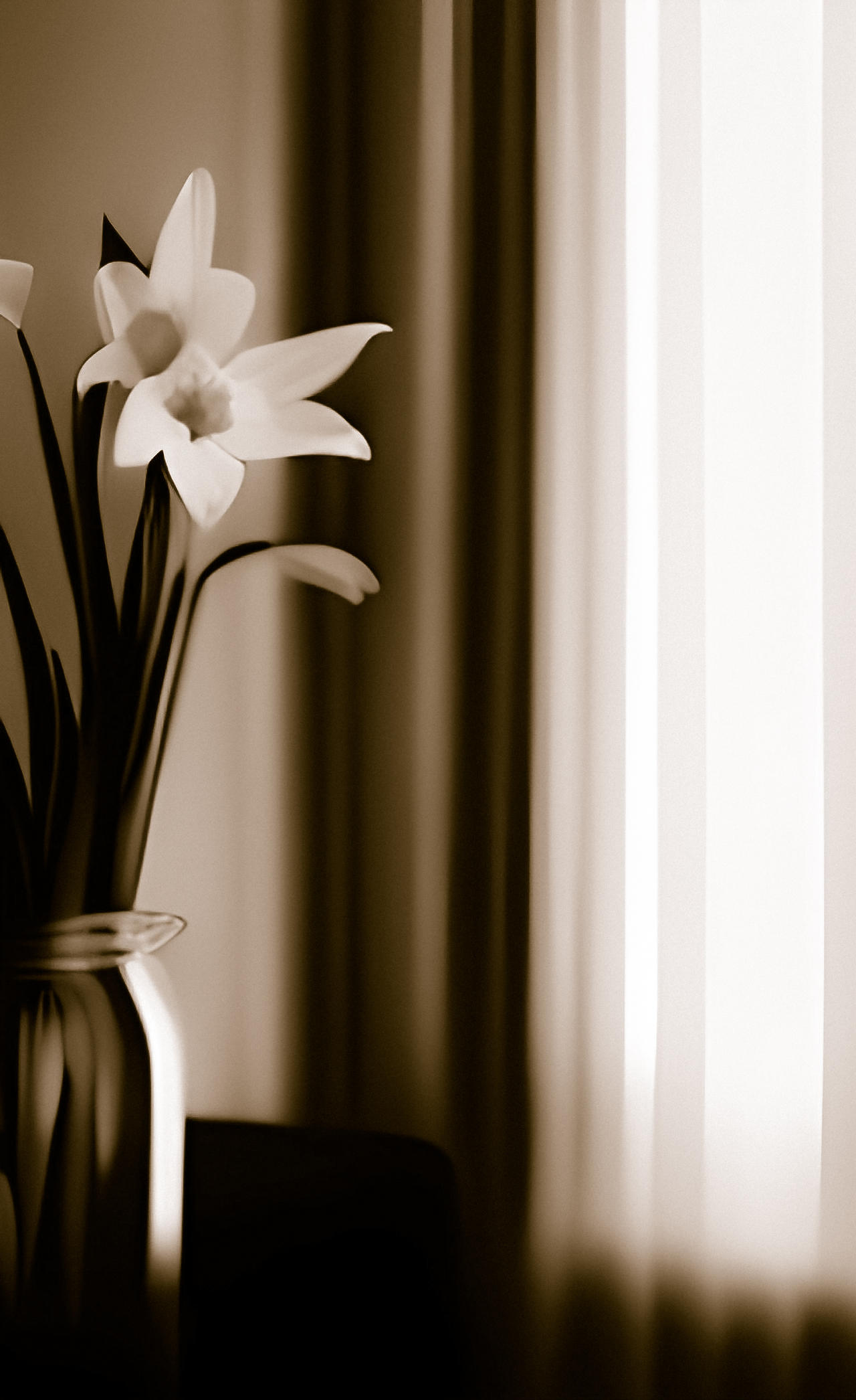 Sepia Still Life by Serendigity-Art on DeviantArt