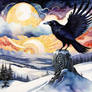 A Winter Raven