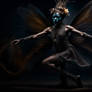 A Dark Faerie Dancing