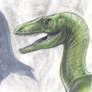 Coelurosaurid doodle