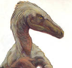 Troodont Acrylics by sitar