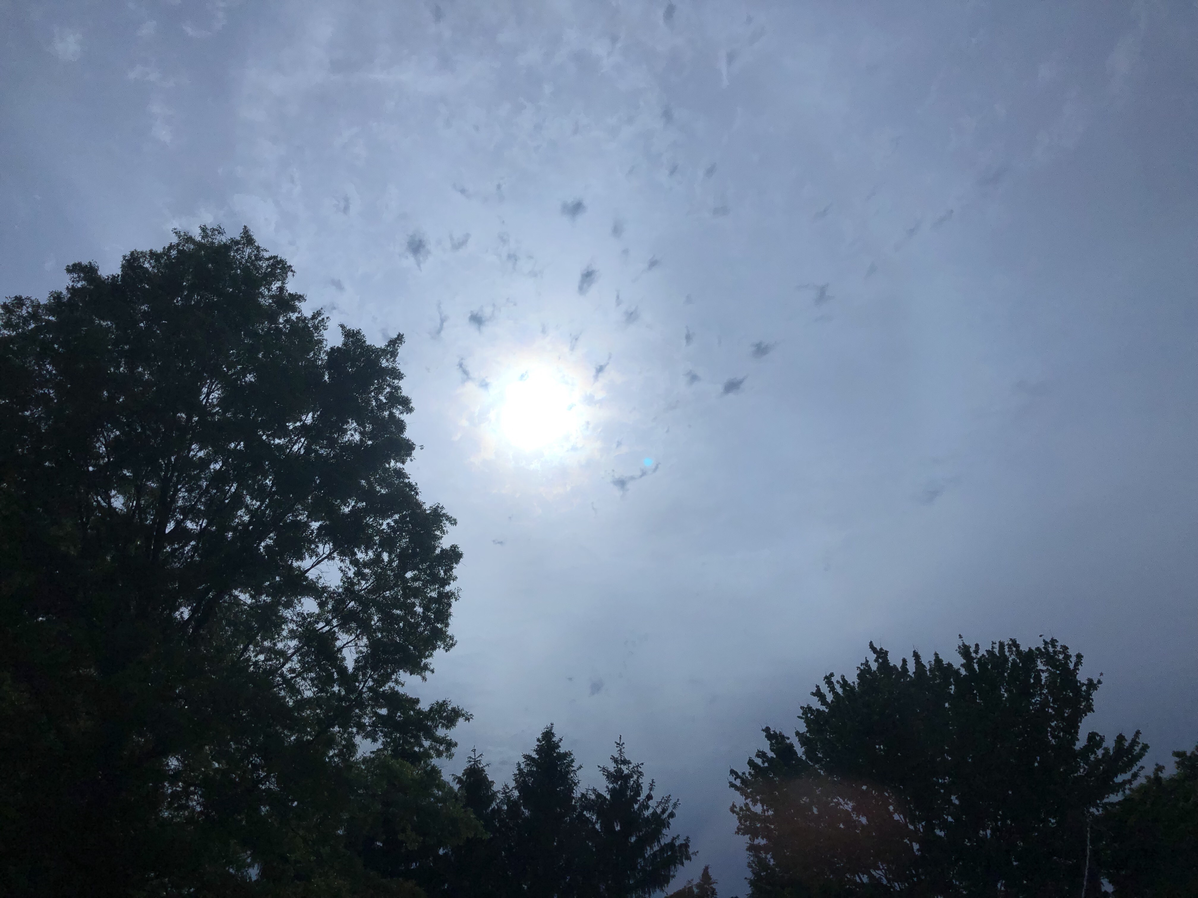 Sky 172 By Sportscarfan129 On Deviantart Sky 172 By Sportscarfan129 On Deviantart