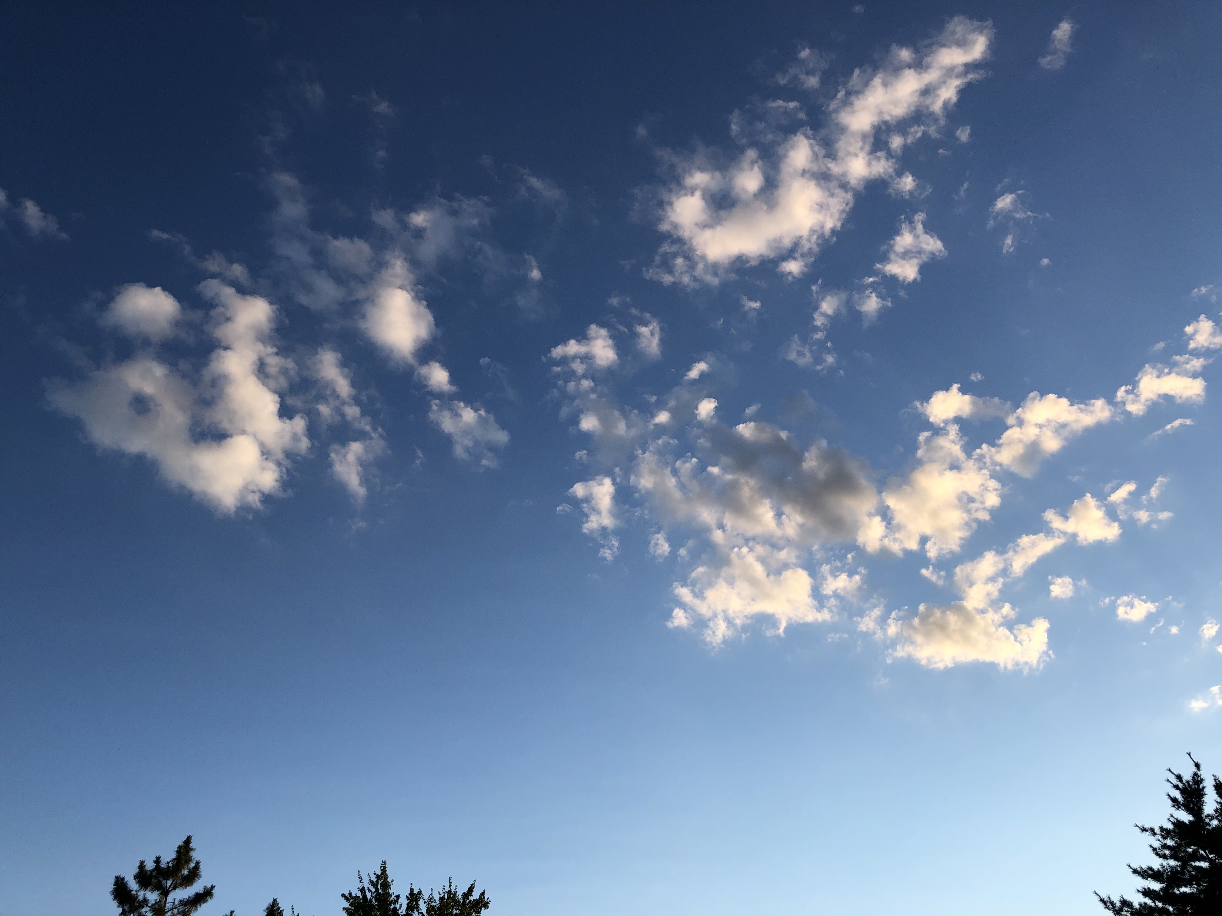 Nếu bạn muốn tìm kiếm một bầu trời hoàn hảo cho ảnh của mình, hãy xem Nền trời (789) của SportsCarFan129 trên DeviantArt! Sự kết hợp tuyệt vời giữa mây và nắng sẽ làm cho bức ảnh của bạn trở nên sống động hơn bao giờ hết.