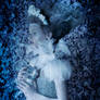 'The Secret Garden' Ice Queen: The First Frost