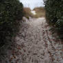 Path over Dunes