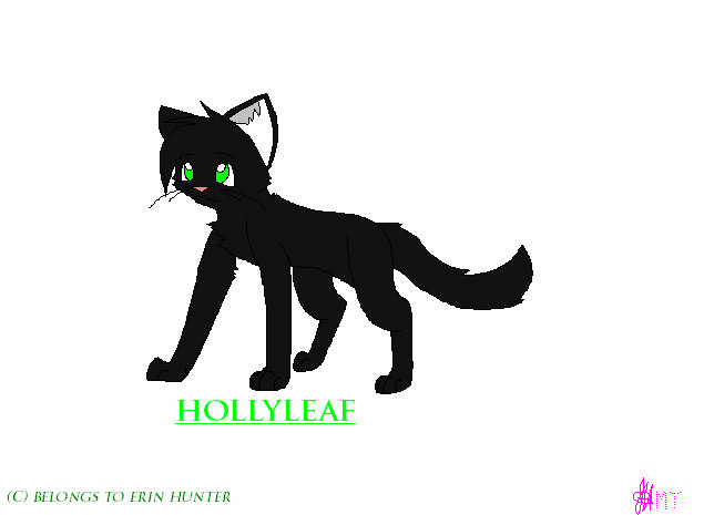 HollyLeaf