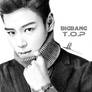 BigBang - T.O.P