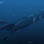 SeaQuest - Arriving