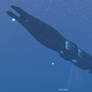 seaQuest - Surface Running