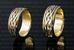 Celtic Wedding Rings by raulsouza