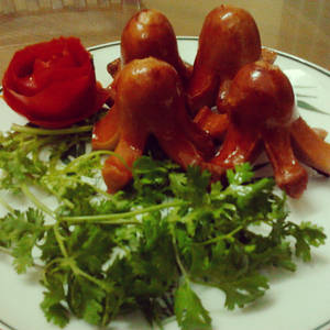 Octopus Sausages - Junjou Romantica style