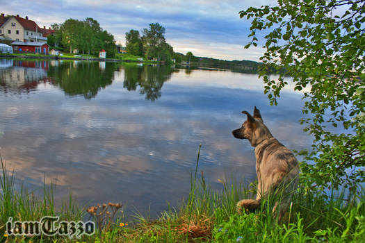 Spying by the water