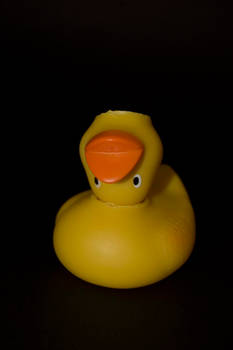 Rubber Duck: Something wrong