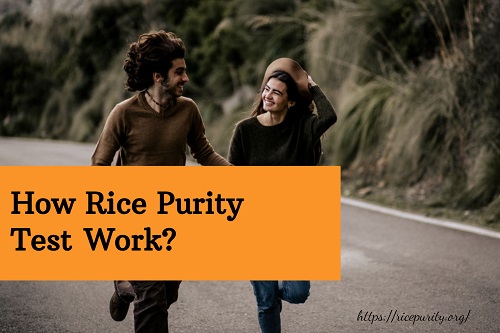 The Origin of Rice Purity Test (2021) by testpurity on DeviantArt