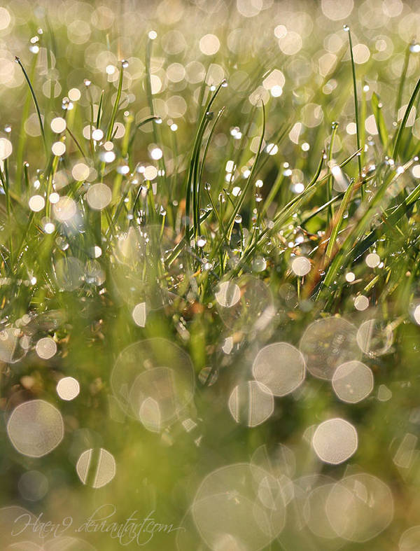 I love grass by Haen9