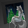 Jazzfox on a windowsill