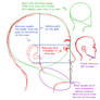 Profile anatomy tutorial