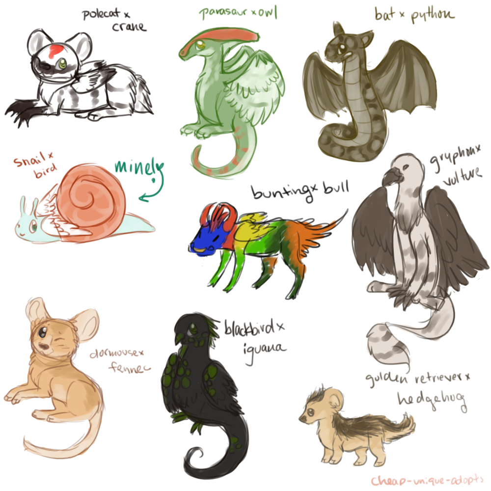 Crazy Animal Mixes ~ buy us? by cheap-unique-adopts on DeviantArt Crazy Animal Mixes ~ buy us? by cheap-unique-adopts on DeviantArt