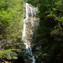 Waterfall Beauty