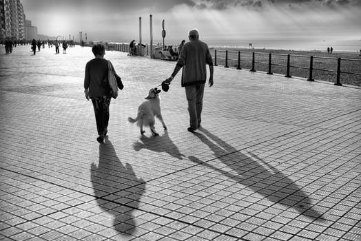 Couple with dog