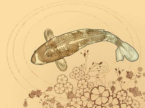 Koi carp