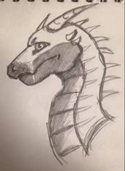 Random Dragon Sketch