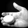 Egg Series Pt. 1