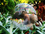 Bubble cat (autumn) by PixieBMTH
