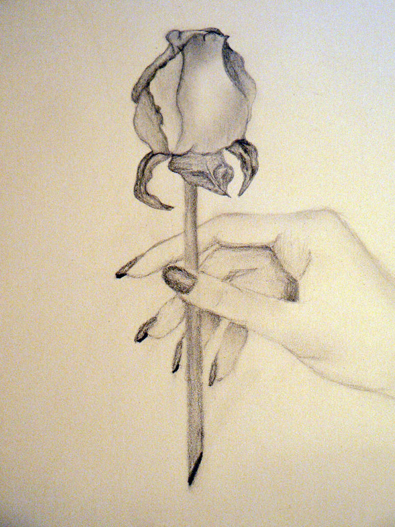 Holding a Rose by cheyenne21 on DeviantArt