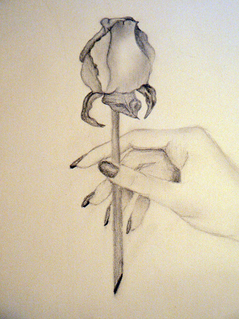 Holding a Rose by cheyenne21 on DeviantArt