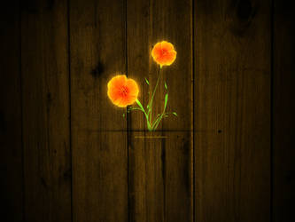 Lighting flower