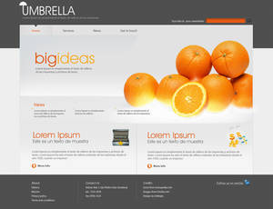 Umbrella Business Site