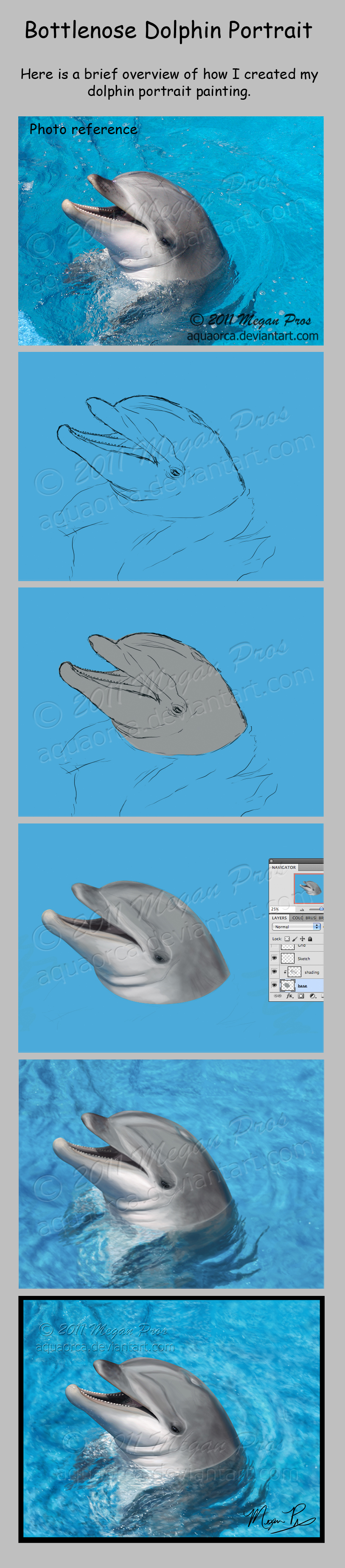 Dolphin Portrait WIP